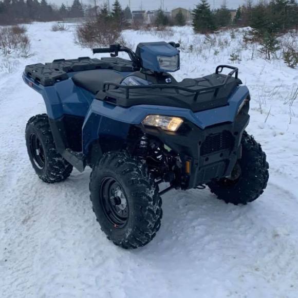 Meet your Posher, Mason - Picture 1 of 1